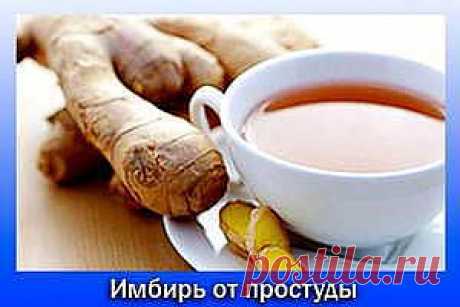Имбирь от простуды