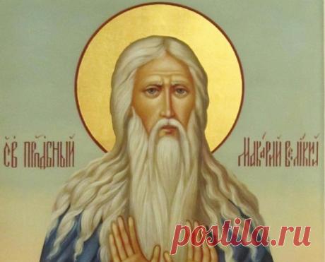 ..Ненависть от раздражительности, раздражительность от гордости, гордость от тщеславия, тщеславие от неверия, неверие от жестокосердия, жестокосердие от нерадения, нерадение от разленения, разленение от уныния, уныние от нетерпеливости, нетерпеливость от сластолюбия...
прп. Макарий Египетский

#Православие #духовная_мудрость