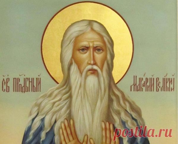 ..Ненависть от раздражительности, раздражительность от гордости, гордость от тщеславия, тщеславие от неверия, неверие от жестокосердия, жестокосердие от нерадения, нерадение от разленения, разленение от уныния, уныние от нетерпеливости, нетерпеливость от сластолюбия...
прп. Макарий Египетский

#Православие #духовная_мудрость