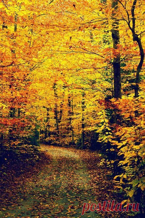 Осень, осень...