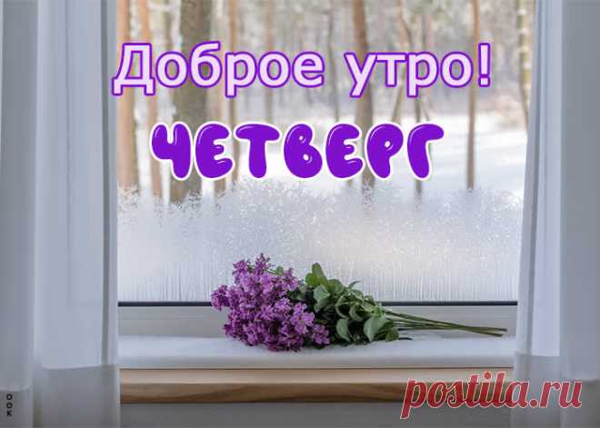 Пусть четверг Вас порадует!