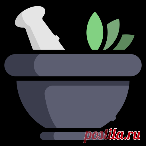 Шишки лиственницы: как хранить зелёные, полезные свойства и применение в народной медицине, сироп и другие блюда