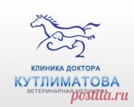 Стоматология, Круглосуточная ветеринарная клиника в Уфе, Ветеринарная клиника доктора Кутлиматова А.Р. в Уфе, ветклиника, ветеринарный врач, ветврач, ветеринар Уфа