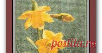 Схема вышивки 