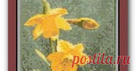 Схема вышивки "Heritage Crafts" Серия "Flower Panels" JCDF469 "Daffodils" Мега-архив схемы вышивки крестиком
