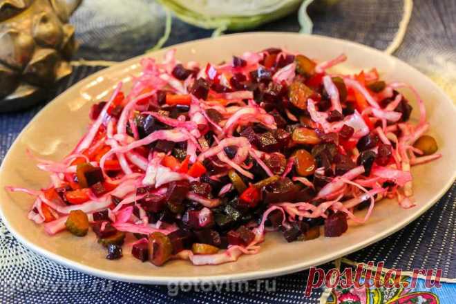 Салат из свежей капусты и вареной свеклы. Рецепт с фото Кроме свежей капусты и вареной свеклы в этот салат добавляют маринованные огурцы-корнишоны и сладкий болгарский перец. Капуста подойдет молодая или та, которая хранится с осени. Свежий овощной салат подают как самостоятельное блюдо или как гарнир к мясу и рыбе.







