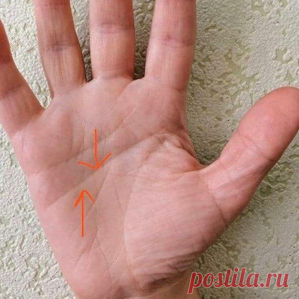 Линия головы | ЭРЕБУС. Цифровая психология. | Яндекс Дзен