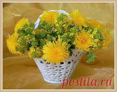 Одноклассники