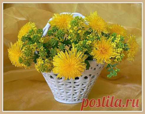 Одноклассники