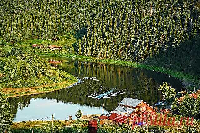 Сердце львицы. Взгляд волчицы !!! (Strong Woman).