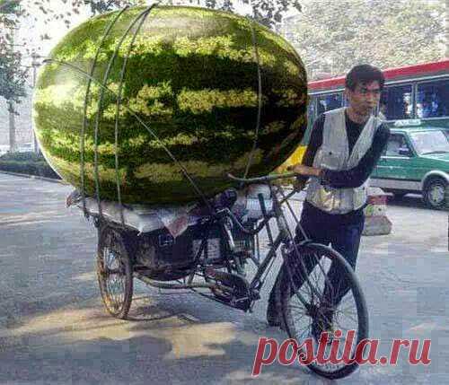 Google+