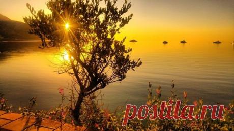 Мысли вслух..╭●◥◣