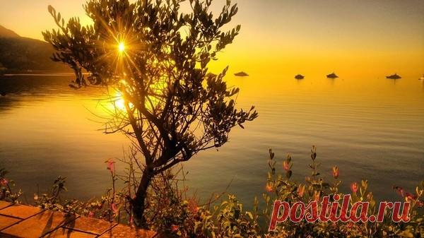 Мысли вслух..╭●◥◣