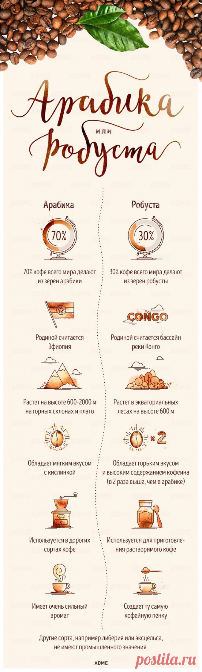 Гид по кофе