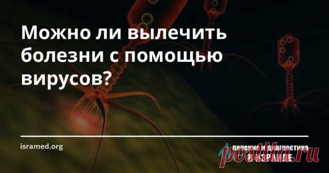 Можно ли вылечить болезни с помощью вирусов? Согласно статистическим данным в мире умирает порядка 700 тыс. человек вследствие невосприимчивости к различным лекарствам. Для того чтобы решить эту проблему специалисты решили обратиться к .... бактериофаготерапии. Этот способ предполагает применять вирусы в терапевтических целях, основываясь на их способности внедряться в клетки и убивать их.