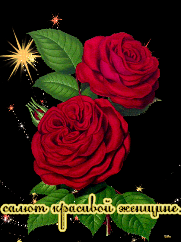 0_a8b04_163d4a83_XL.gif (600×800)