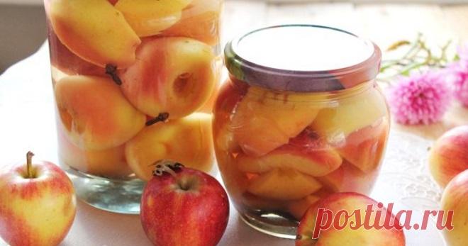 Моченые яблоки на зиму – 9 простых рецептов в банке, ведре, бочке