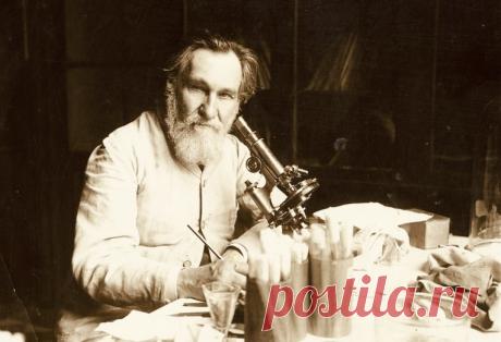 Илья Мечников: биография, научные открытия и наследие великого биолога | PortalBio