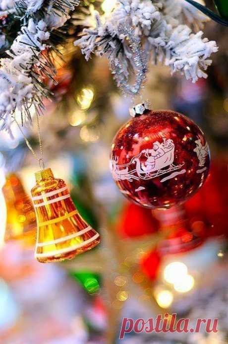 24 ноября 2014 г.