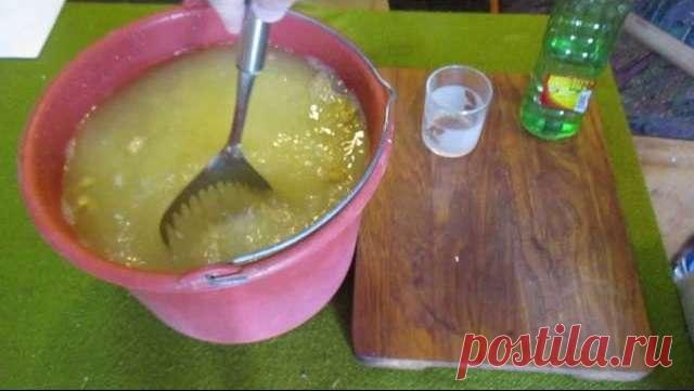 Уксус и горчица могут помочь избавиться от колорадского жука на огороде — Домашние заботы