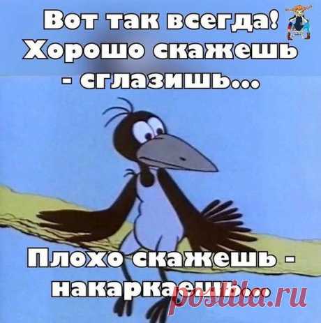 (210) Pinterest