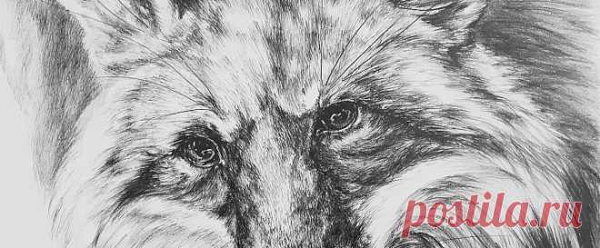 Лента ~ Наталья Ермолаева / Фриц | Артклуб Gallerix