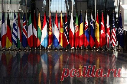 В Запорожье объяснили цель заявлений о планах войны России с НАТО. Владимир Рогов заявил, что публикация «секретного плана» о возможном нападении России на НАТО была нужна для обоснования поддержки Зеленского Западом. Политик объяснил, что канцлер Германии Олаф Шольц и военно-промышленные корпорации страны заинтересованы в том, чтобы затянуть конфликт.