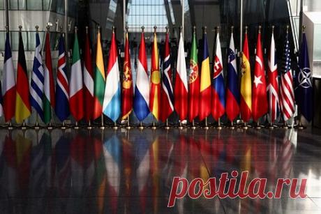 В Запорожье объяснили цель заявлений о планах войны России с НАТО. Владимир Рогов заявил, что публикация «секретного плана» о возможном нападении России на НАТО была нужна для обоснования поддержки Зеленского Западом. Политик объяснил, что канцлер Германии Олаф Шольц и военно-промышленные корпорации страны заинтересованы в том, чтобы затянуть конфликт.