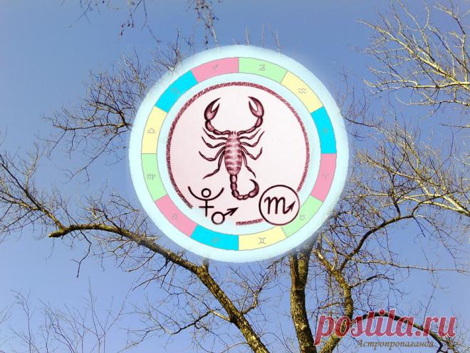 Сделайте рывок. Гороскоп для Скорпиона с 1 по 28 марта 2021 | Астропропаганда | Яндекс Дзен
♏✨ Автор: астролог Нина Стрелкова. ✧ В этот период очень многое зависит от вас самих, вашей самооценки, ваших притязаний, вашего желания или нежелания быть на виду. Период способствует всем видам творчества, спорту, саморазвитию и демонстрации своих талантов. Проблемы могут возникнуть при переоценке своих способностей и возможностей. Но не всегда при неудаче нужно сдаваться и отступать...