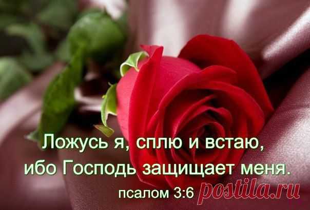 ♥...Агапэ...♥