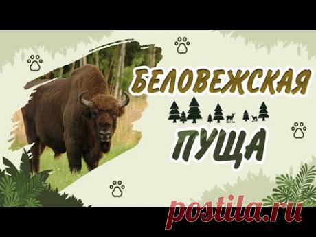 📺 Все Видео Канала ArtemLand: https://www.youtube.com/ArtemLand 
Спасибо, что смотрите мое видео! 
SOCIAL MEDIA: https://linktr.ee/ArtemLand