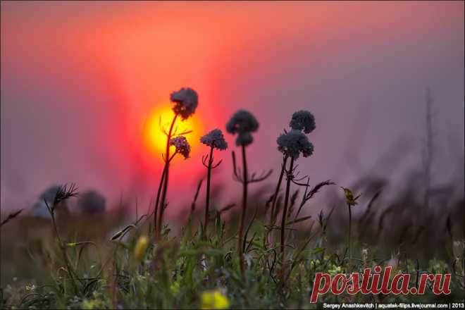 И СНОВА С ЧИСТОГО ЛИСТА РАСКРАСИМ ЖИЗНЬ ВО ВСЕ ЦВЕТА...