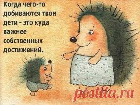 Истина, с которой сложно спорить.