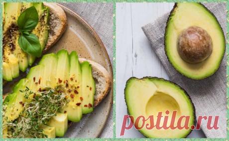 Польза авокадо – плод здоровья! 5 целебных свойств