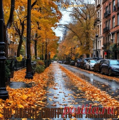 Вы любите смотреть на листопад? ~ Стихи (Лирика пейзажная)