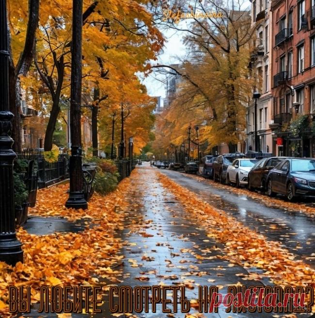 Вы любите смотреть на листопад? ~ Стихи (Лирика пейзажная)
