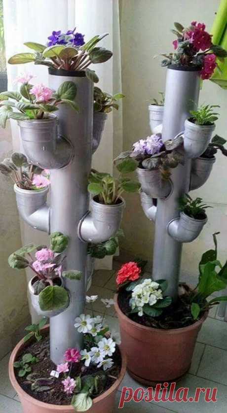 (52) Одноклассники