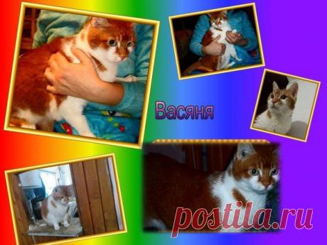 Татьяна Кузнецова