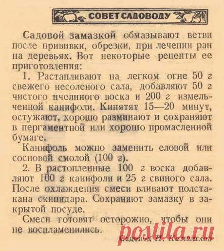 Рецепты приготовления садовой замазки