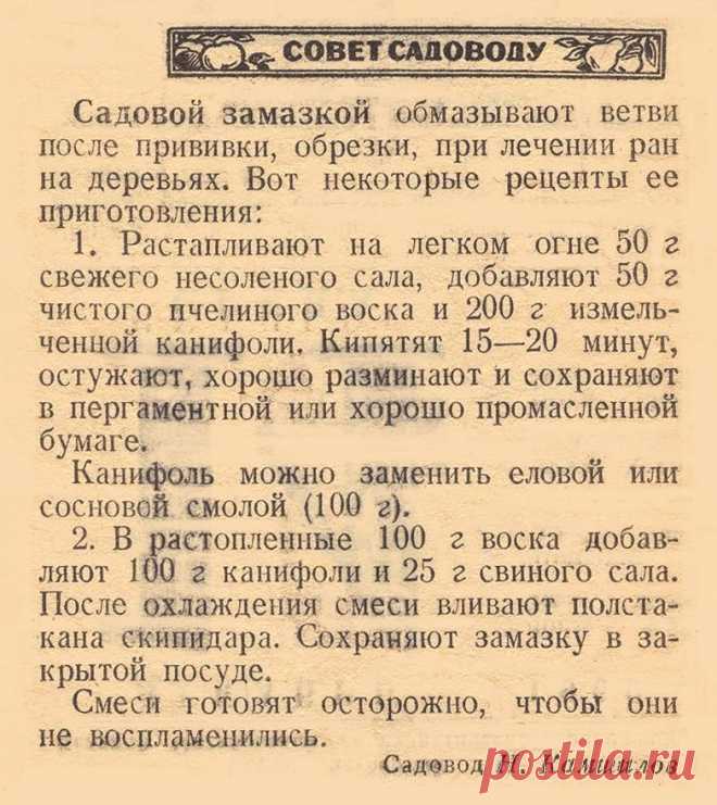 Рецепты приготовления садовой замазки