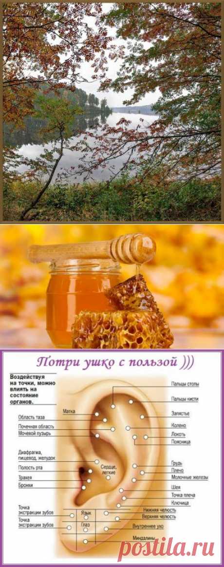 Начало доброго дня