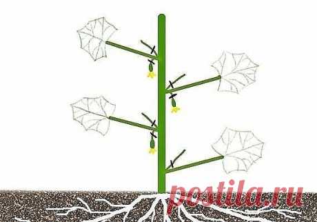 Одноклассники