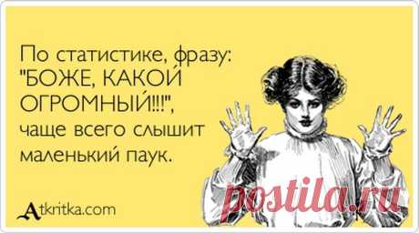 Немного мудрости вам в ленту