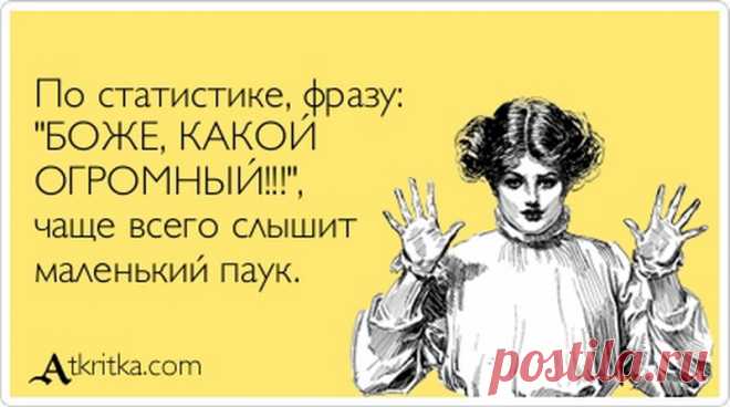 Немного мудрости вам в ленту
