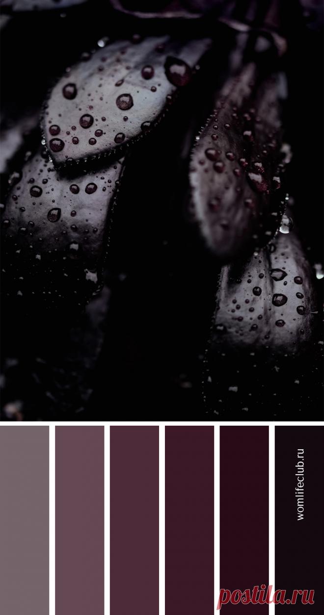 Глубокие оттенки фиолетового для настроения и вдохновения. Больше палитр на сайте womlifeclub.ru #вдохновениецветом #цветовыепалитры #палитрасфото #colorinspiration #womlifeclub