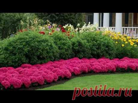 Ideas for landscape design. Перетворюємо вашу ділянку