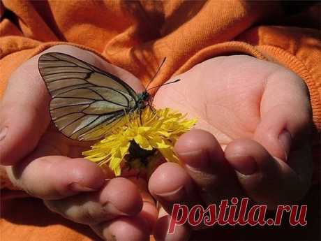 Доброта в словах рождает доверие. Доброта в мыслях улучшает отношения. Доброта в поступках рождает ЛЮБОВЬ. ТЕПЕРЬ ХОЧЕТСЯ  И ДРУГИМ ПОМОЧЬ. Сейчас интернет кишит сообщениями о работе, и многие люди уже рассмотрели этот вариант, а некоторые сомневаются. Я один из тех,кто сомневался.Правда решил проверить и все получилось. Предлагаю ознакомиться с информацией, которую предлагаю я, и сделать выводы. НАЖИМАЙ ===&gt;&gt;&gt;