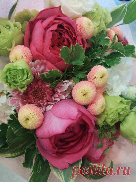 флористика