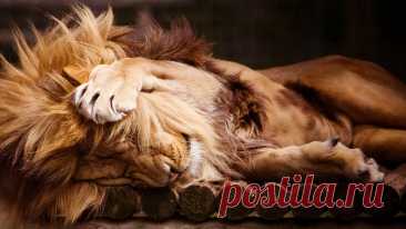 Найдём ответ в любой непонятной ситуации