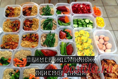 Пример идеальных приемов пищи / Медицина для всех